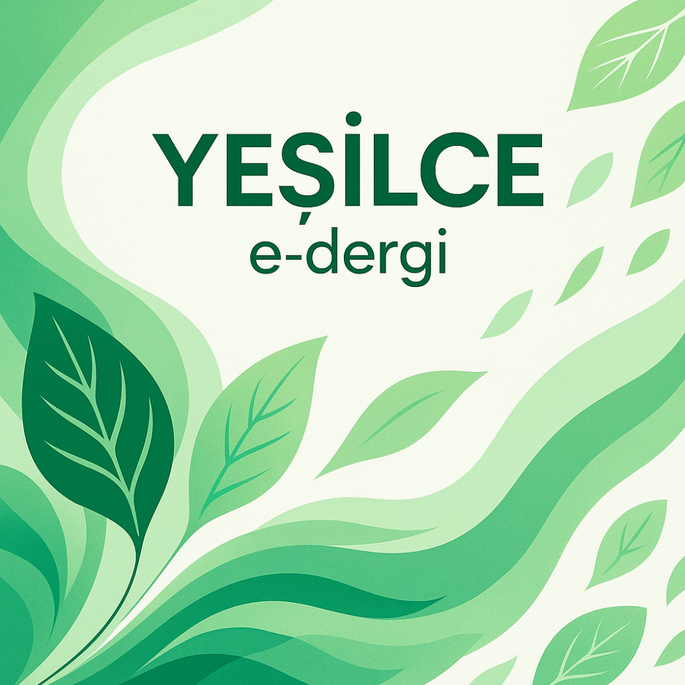 ChatGPT Image 15 May 2025 15_26_07